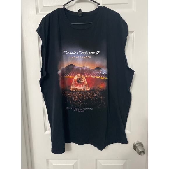 Daivd gilmour live at pompell tee shirt size 3xl - Picture 1 of 4